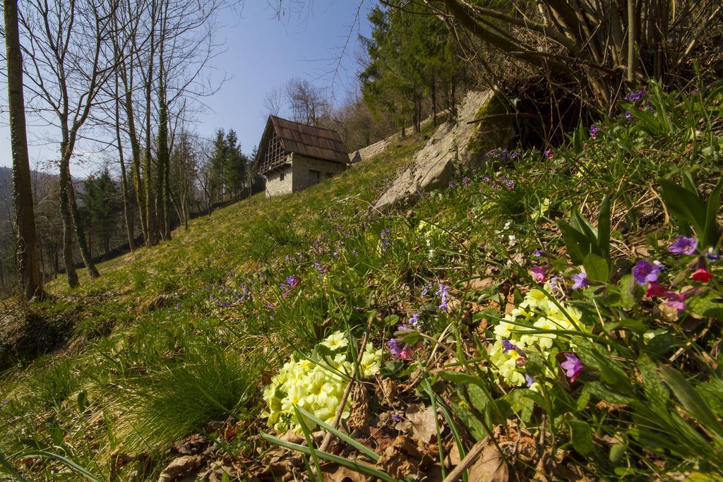 Casa Delle Noci Grimacco Quarto foto